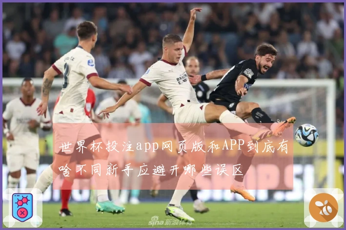 世界杯投注app网页版和APP到底有啥不同新手应避开哪些误区